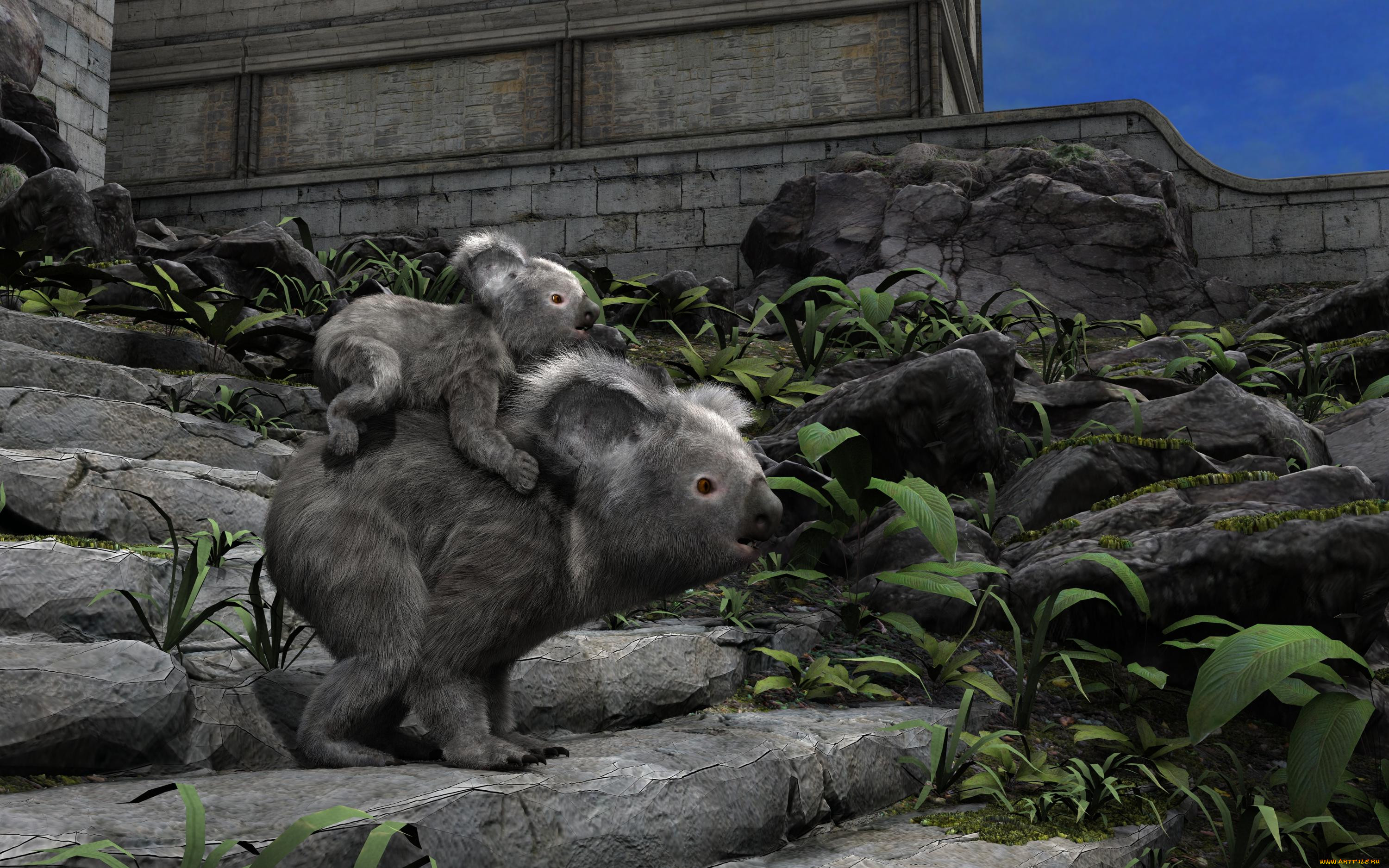 3 ,  , animals, 